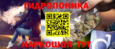 Альфа ПВП Аргун