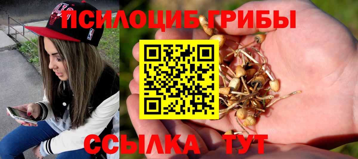 Галлюциногенные грибы мухоморы  Вход с VPN  Бердск 