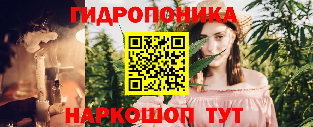 Марихуана индика Бердск